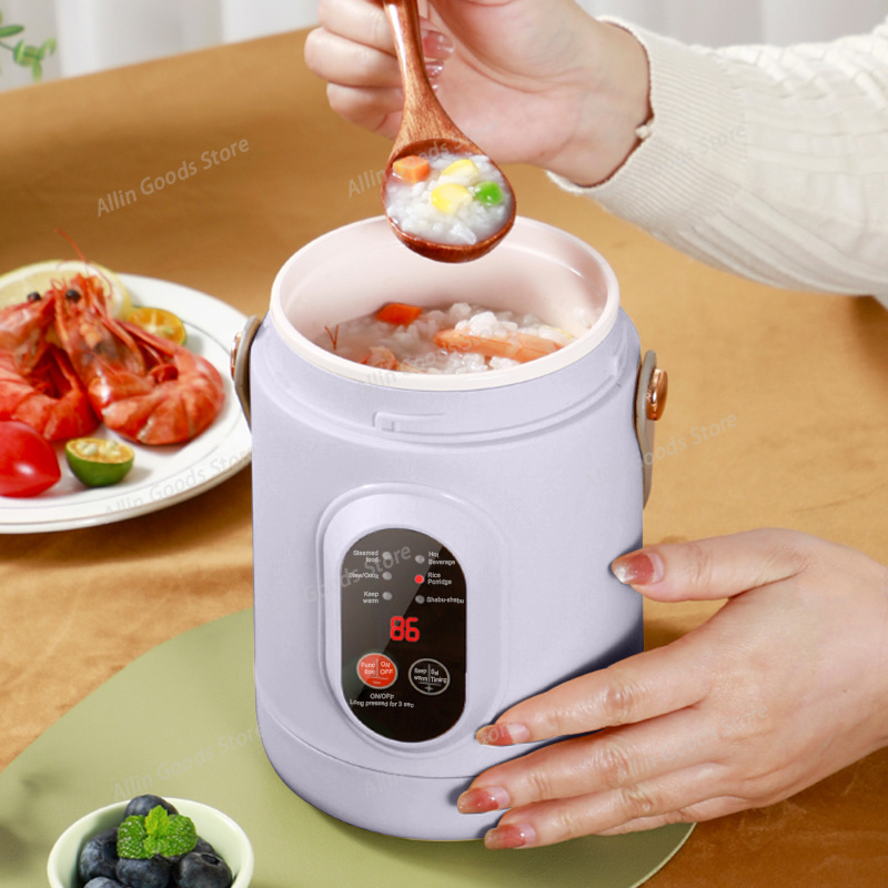 Hot Pot Portable Dual - طباخ كهربائي محمول متعدد الوظائف، وعاء